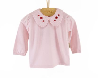 Imagem de BLUSA ML GOLA BORDADA MENINA FAIXA 1