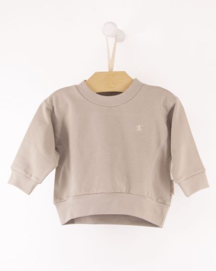 Imagem de BLUSA MOLETOM BOY BABY
