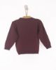 Imagem de BLUSA JACQUARD LEAO BABY