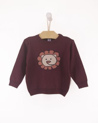 Imagem de BLUSA JACQUARD LEAO KIDS