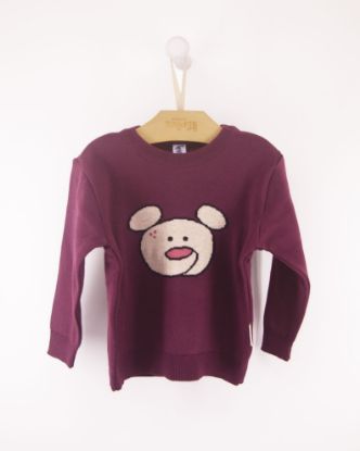 Mostrar detalhes de BLUSA JACQUARD URSO BABY Imagem de BLUSA JACQUARD URSO BABY
