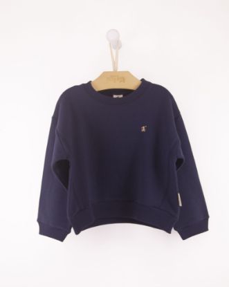 Imagem de BLUSA MOLETOM BOY KIDS